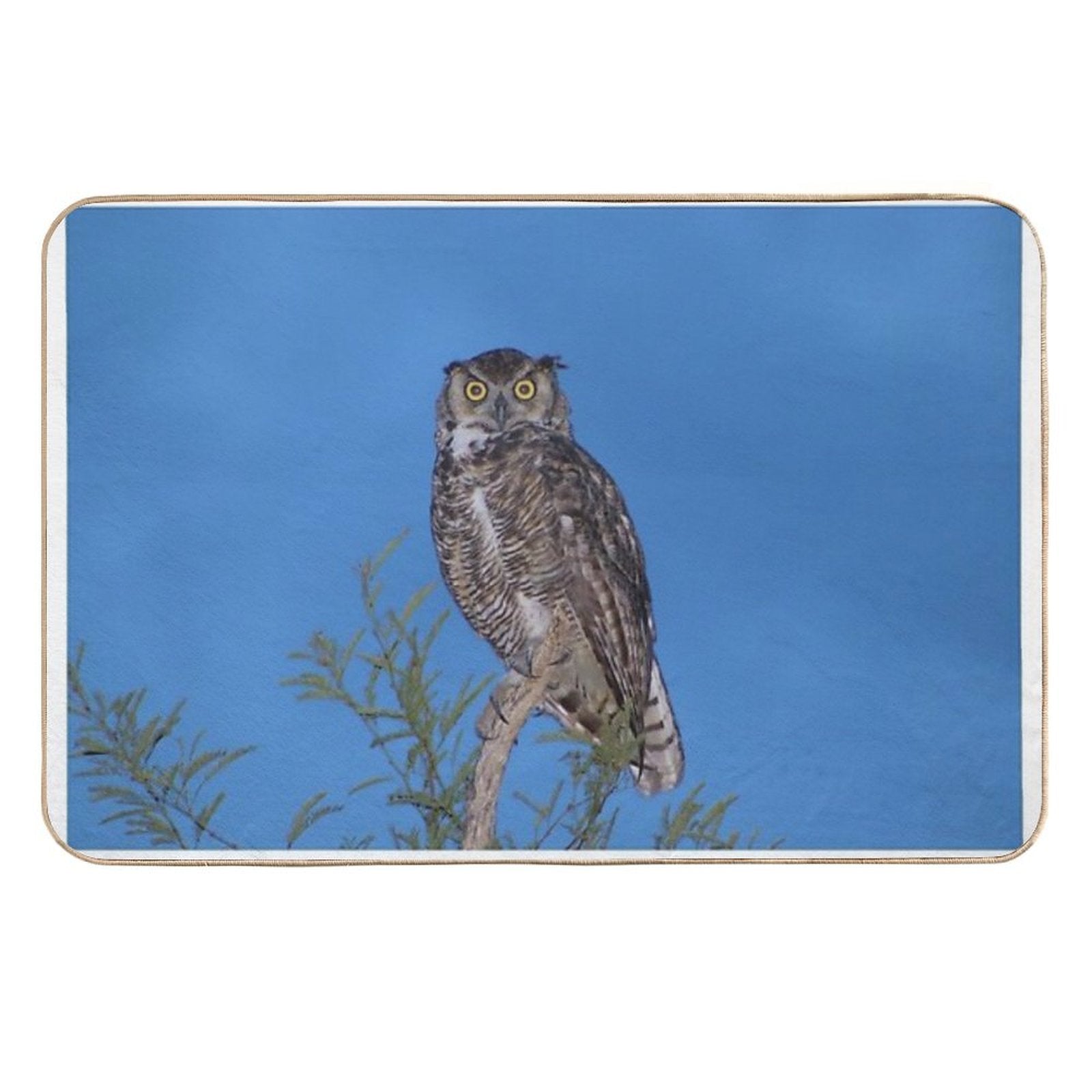 Beautiful Wise Owl  Slip-Resistant Bath Mat