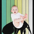 Anteater Animal All-season Throw Blanket