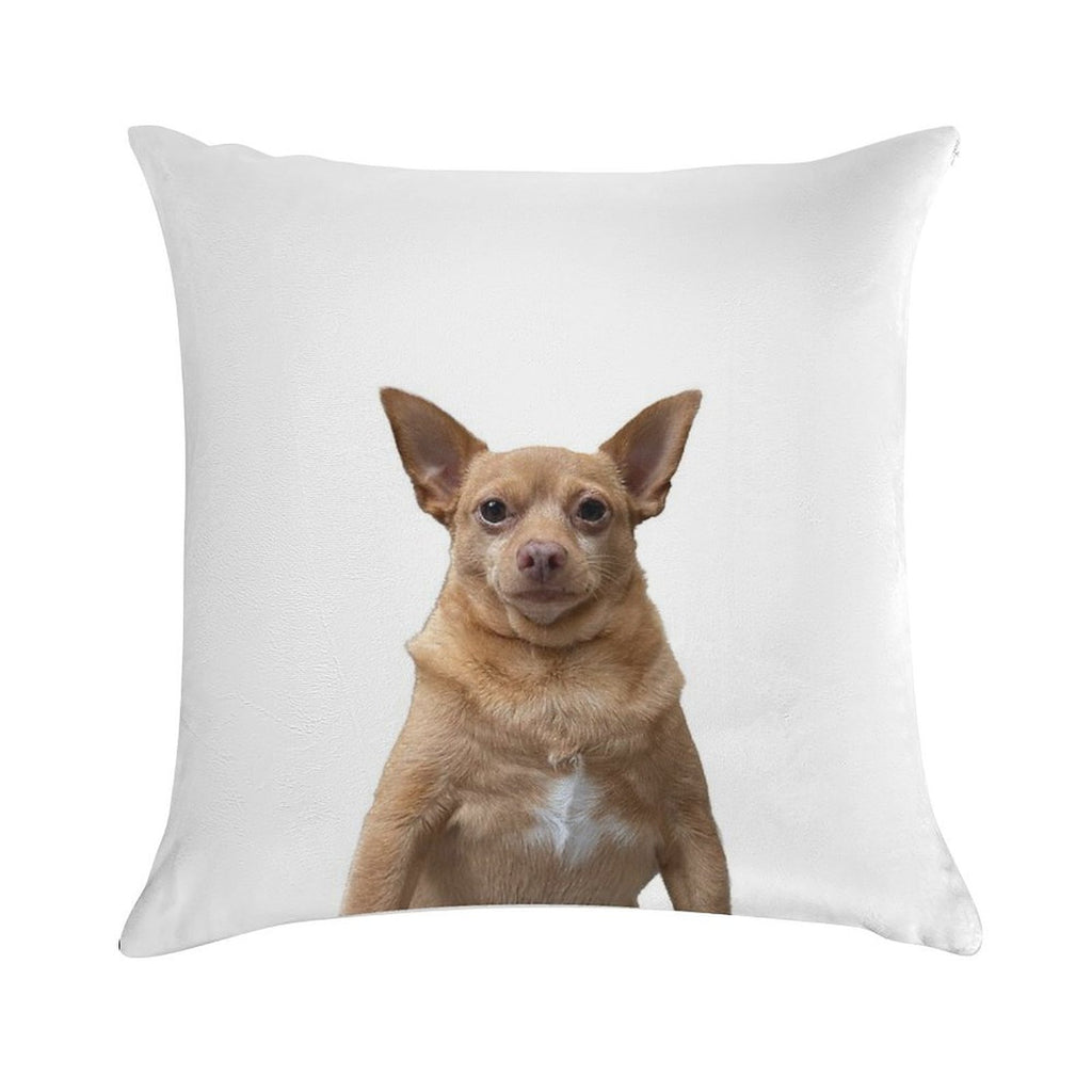 Macho Cheddar Soft Shrink-Resistant Throw Pillow
