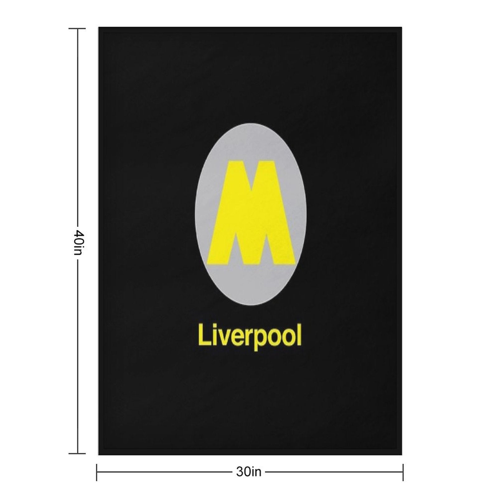 Liverpool Station Plush Throw Blanket