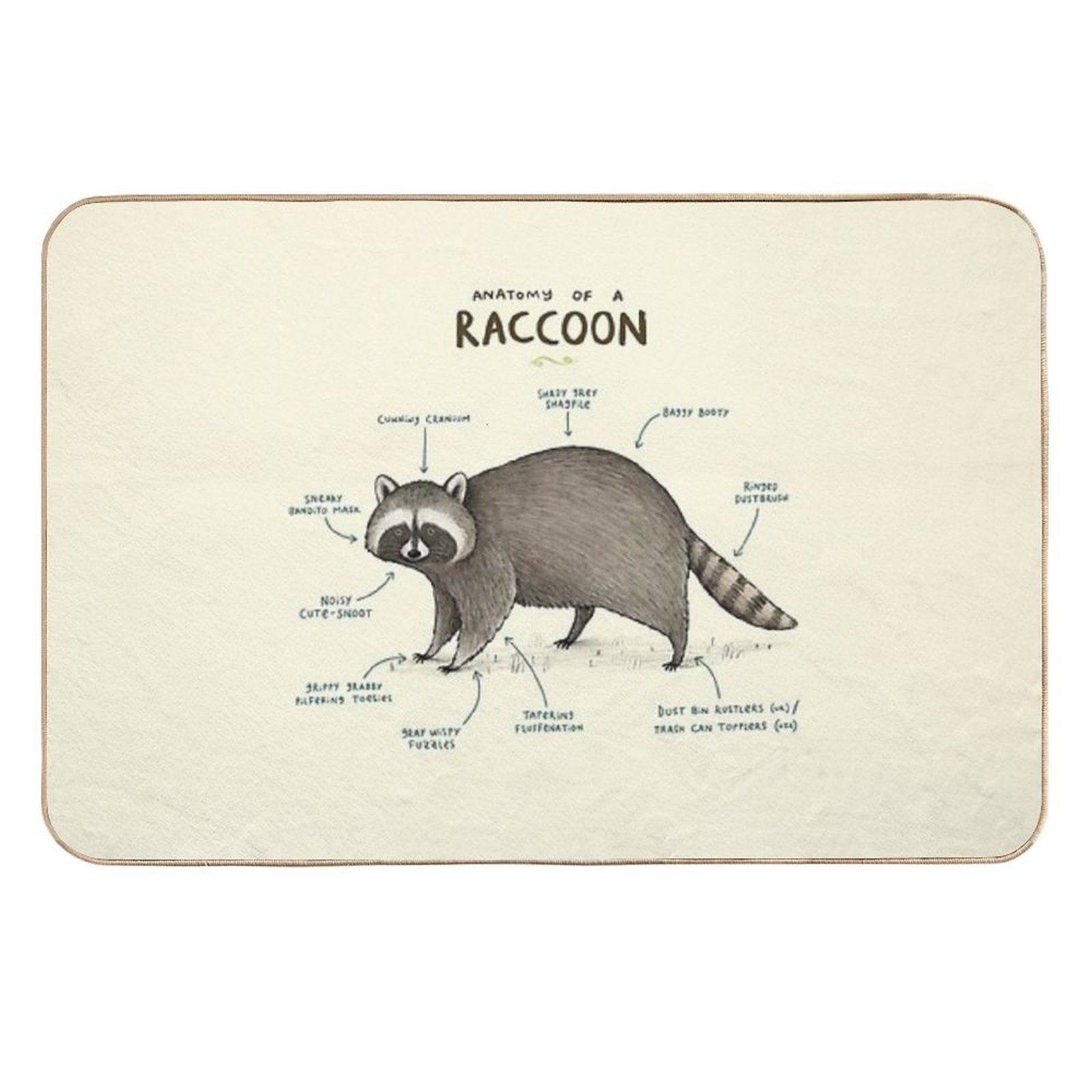 Anatomy of A Raccoon  Dirt-Trapping Bath Mat