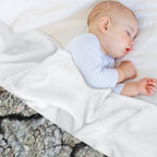 Western Boxelder Bug Comfort Throw Blanket